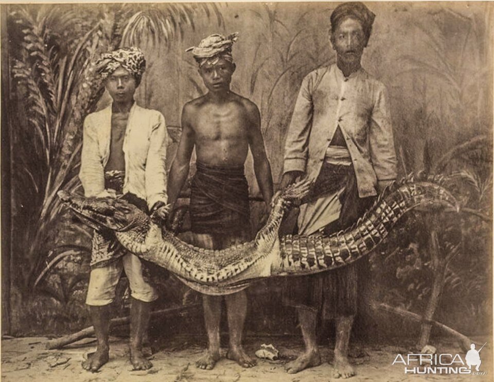 Crocodile Hunt Indonesia