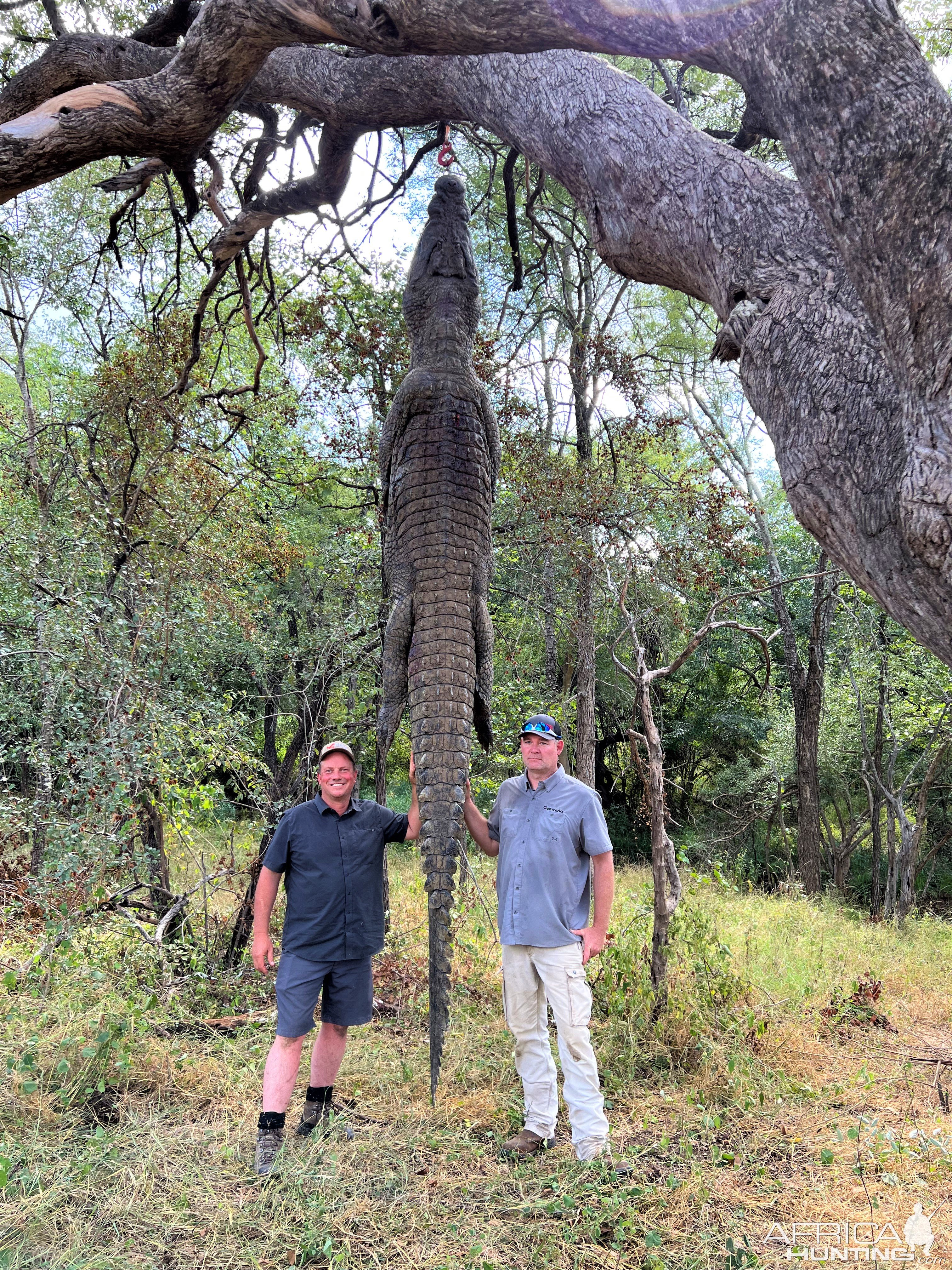 Crocodile Hunt Limpopo South Africa