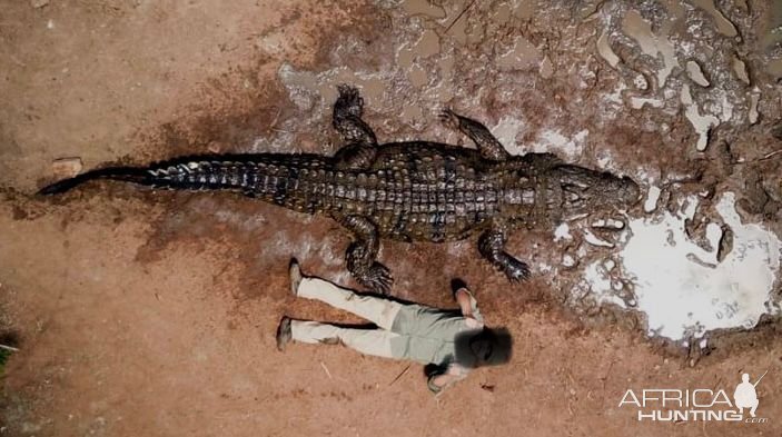Crocodile Hunt South Africa