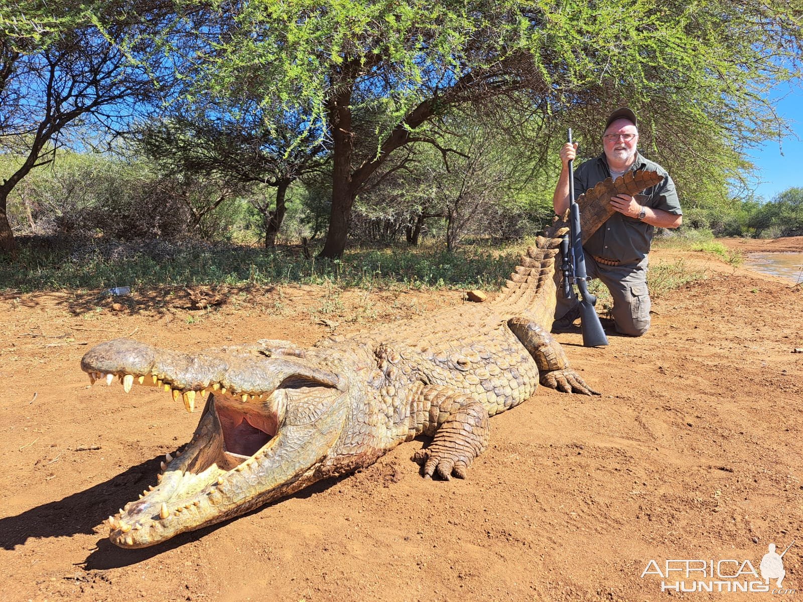 Crocodile Hunt