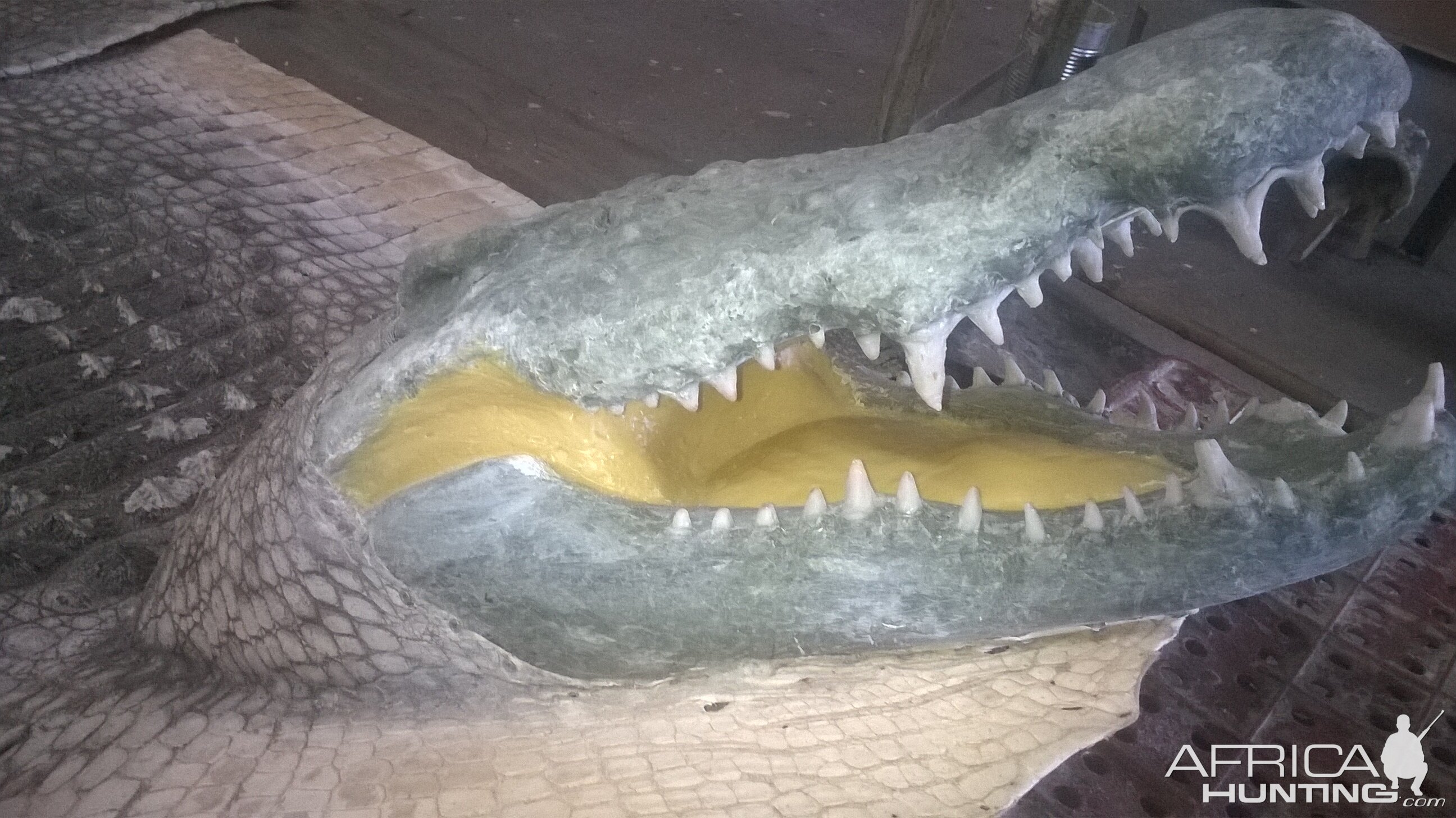 Crocodile rug with replica head ready for painting