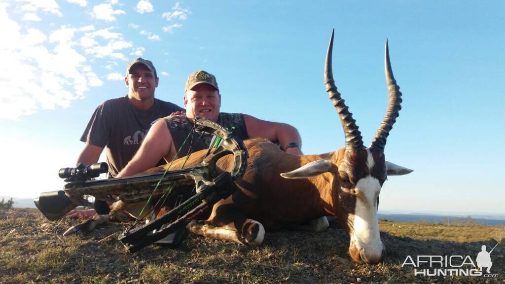 Cross Bow Hunting Blesbok South Africa