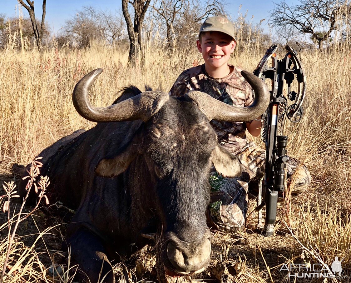 Crossbow Hunt Blue Wildebeest in South Africa