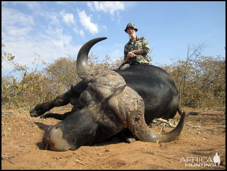 Crossbow Hunt Cape Buffalo in South Africa