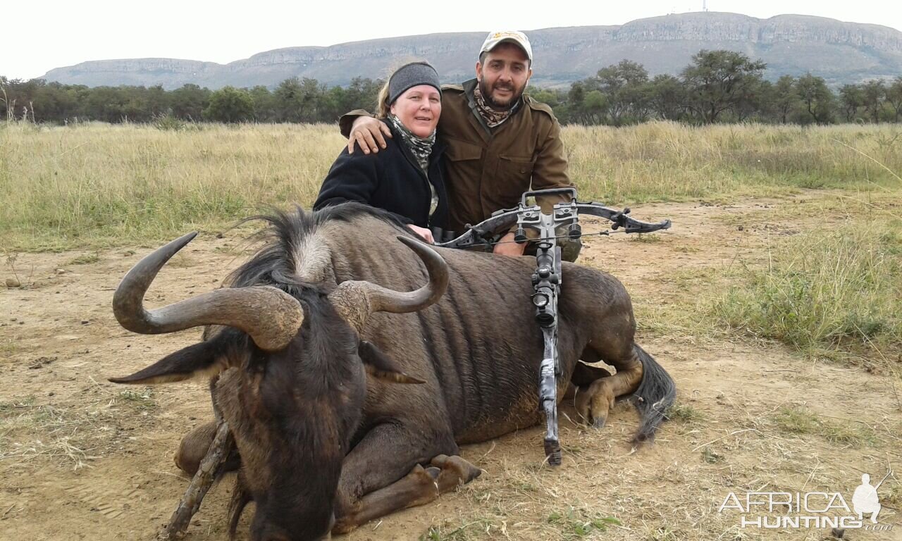 Crossbow Hunting Blue Wildebeest South Africa