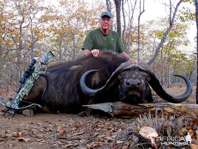 Crossbow Hunting Buffalo South Africa