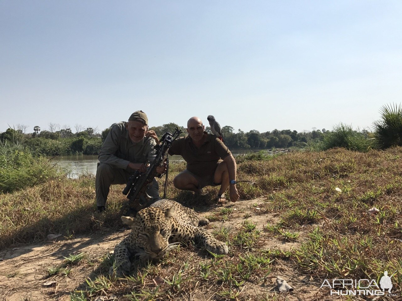 Crossbow Leopard Hunt