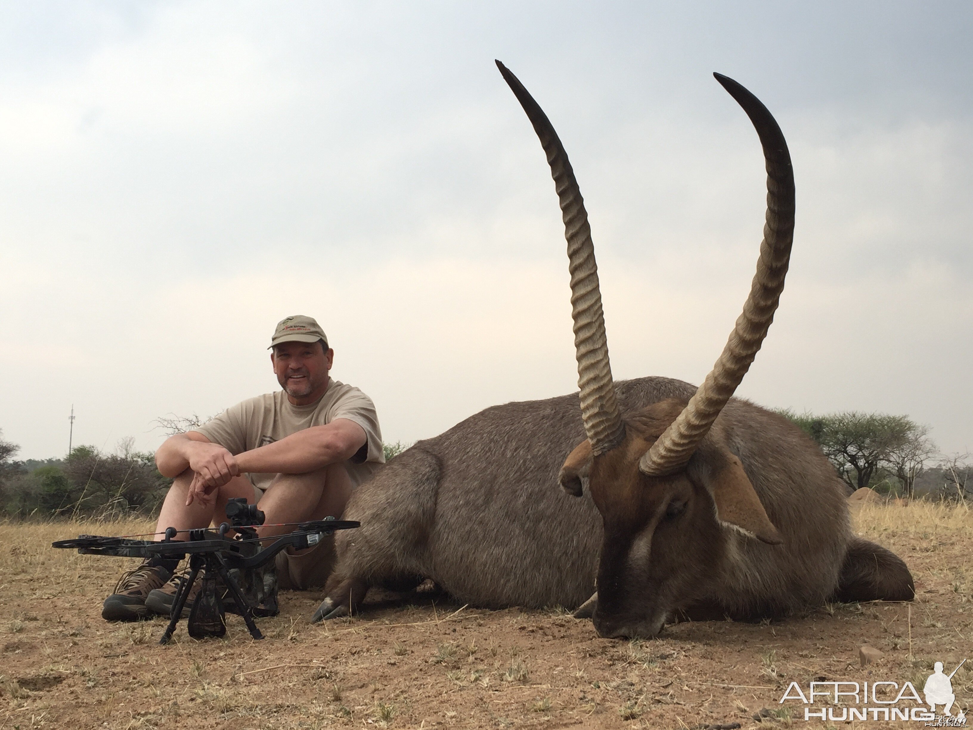 Crossbow Waterbuck