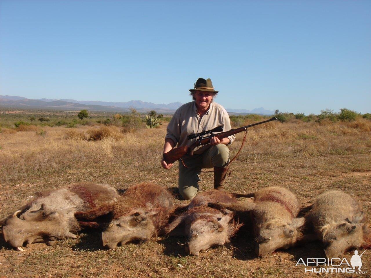 Cull Hunt Warthog in South Africa