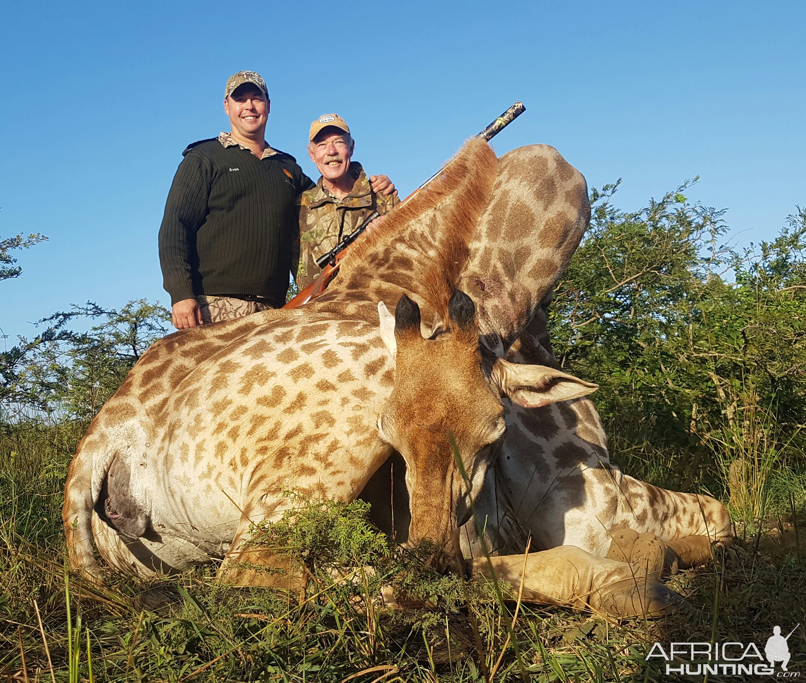 Cull Hunting Giraffe in South Africa