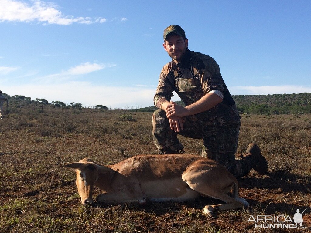 Cull Hunting Impala Ewe South Africa