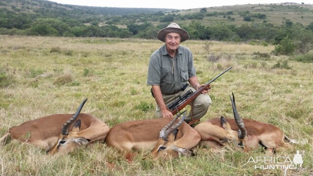 Cull Hunting Impala South Africa