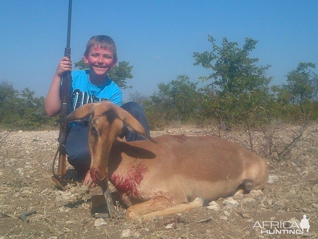 Cull Hunting South Africa Impala