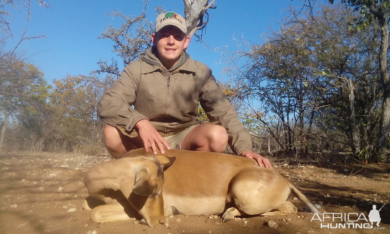 Cull Hunting South Africa Impala