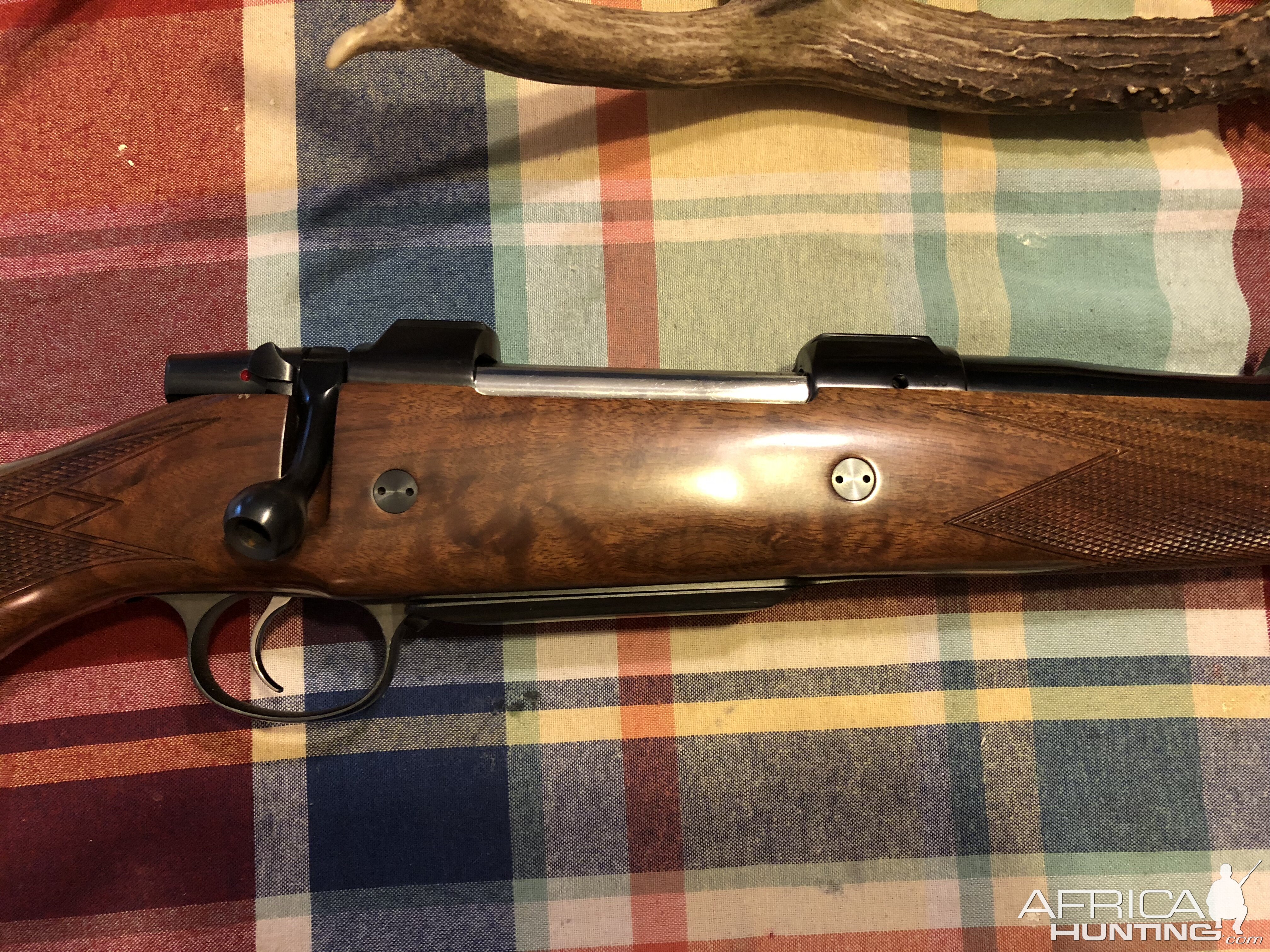 CZ 550 in 404 Jeffery Rifle