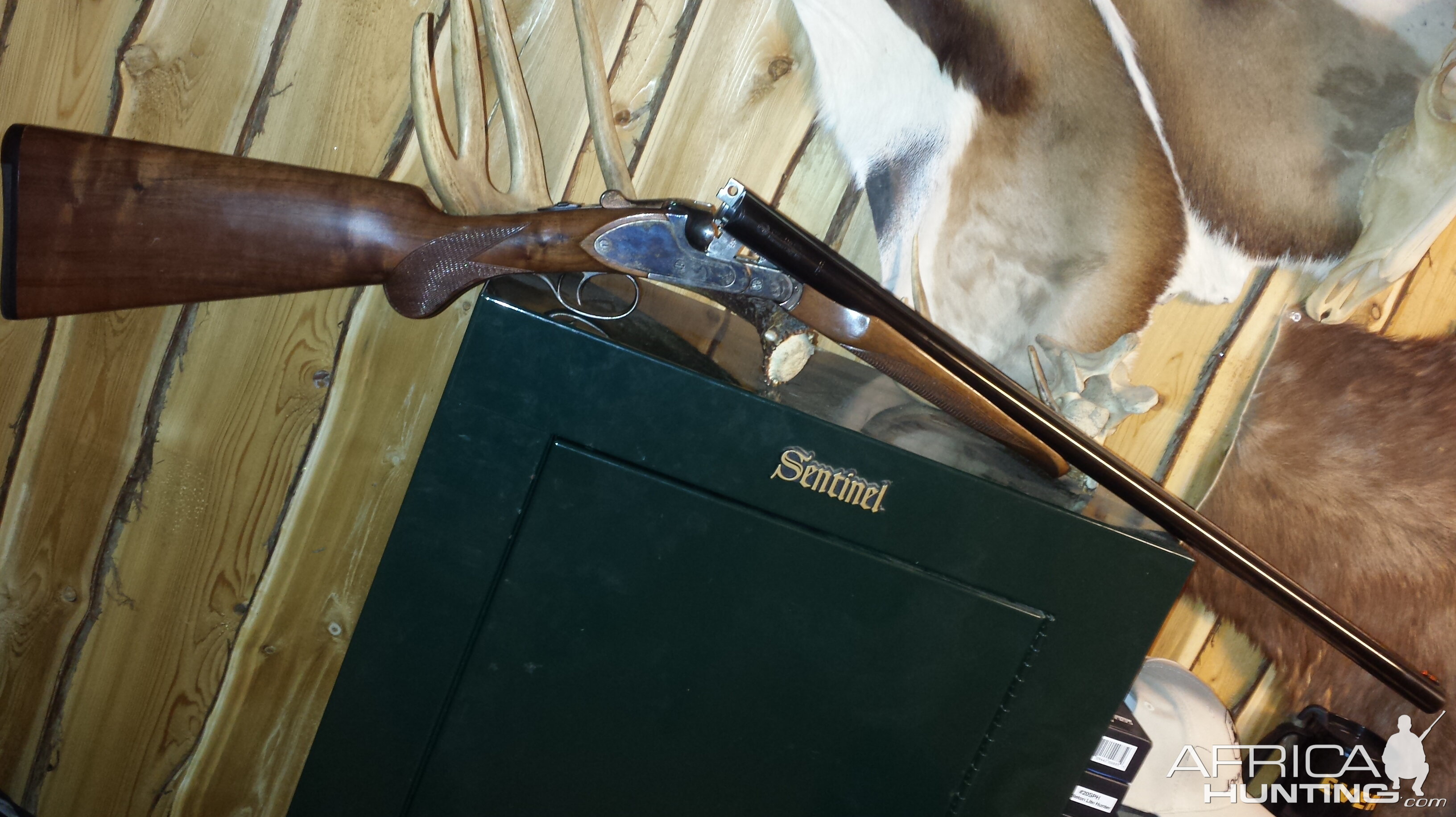 CZ (Huglu) Ringneck 12ga Shotgun 26" barrels with screw in chokes