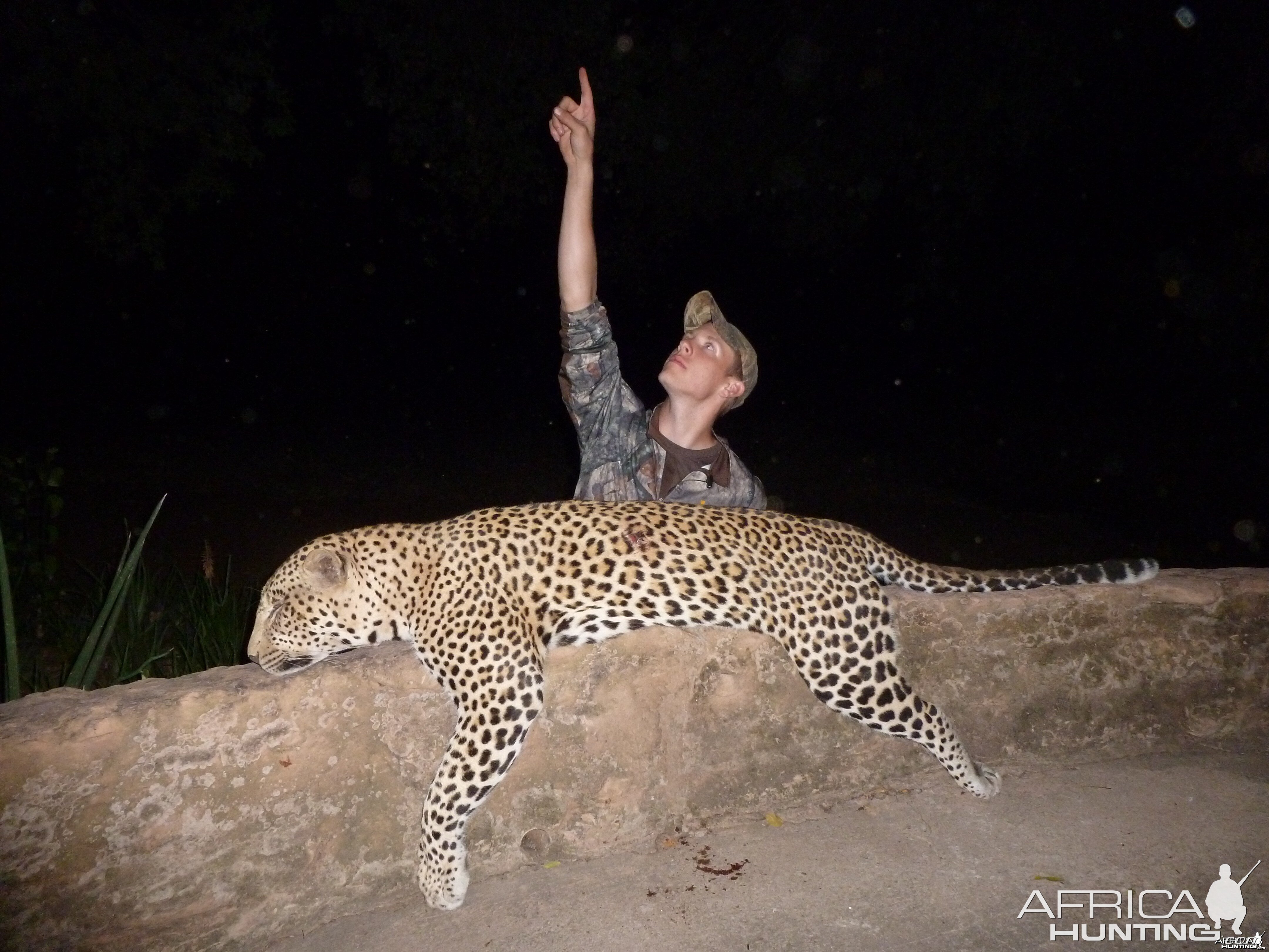 Dakota's Bow Shot Leopard