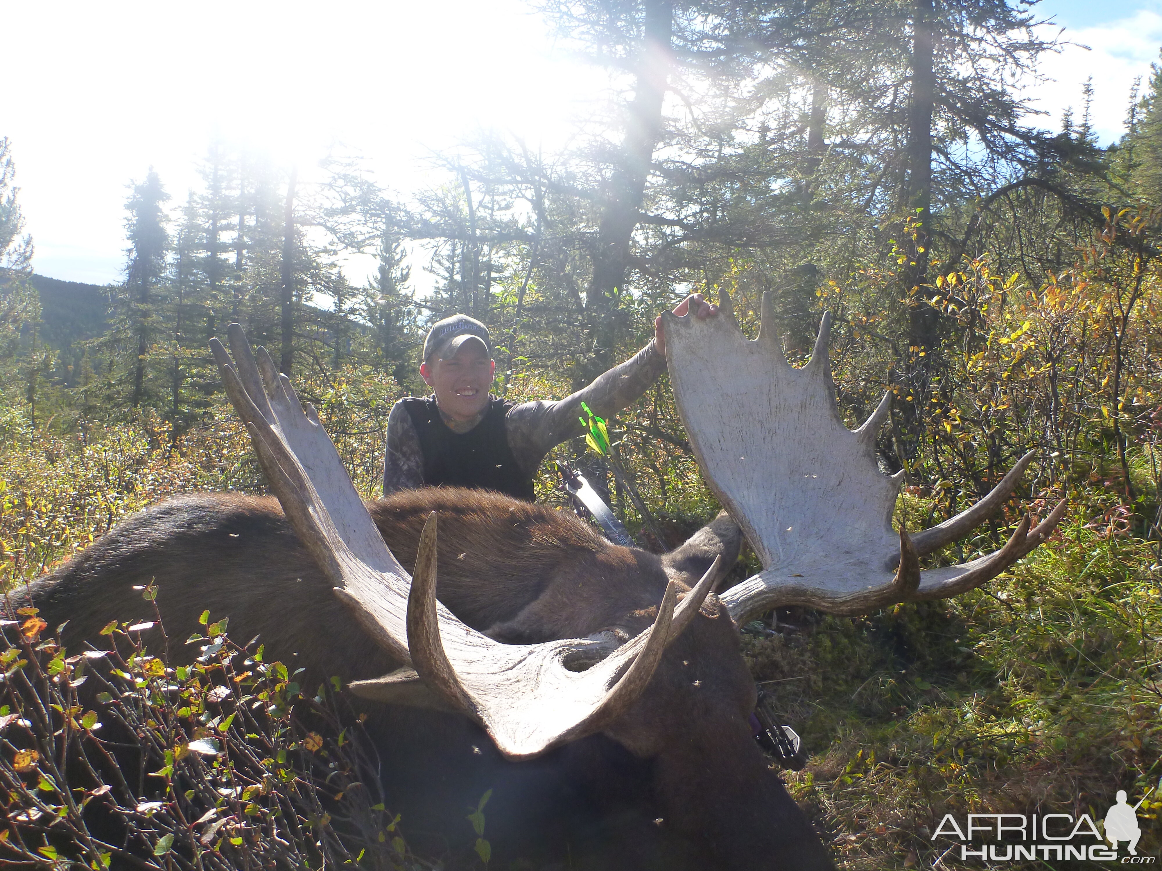Dakota's British Columbia Moose with a bow