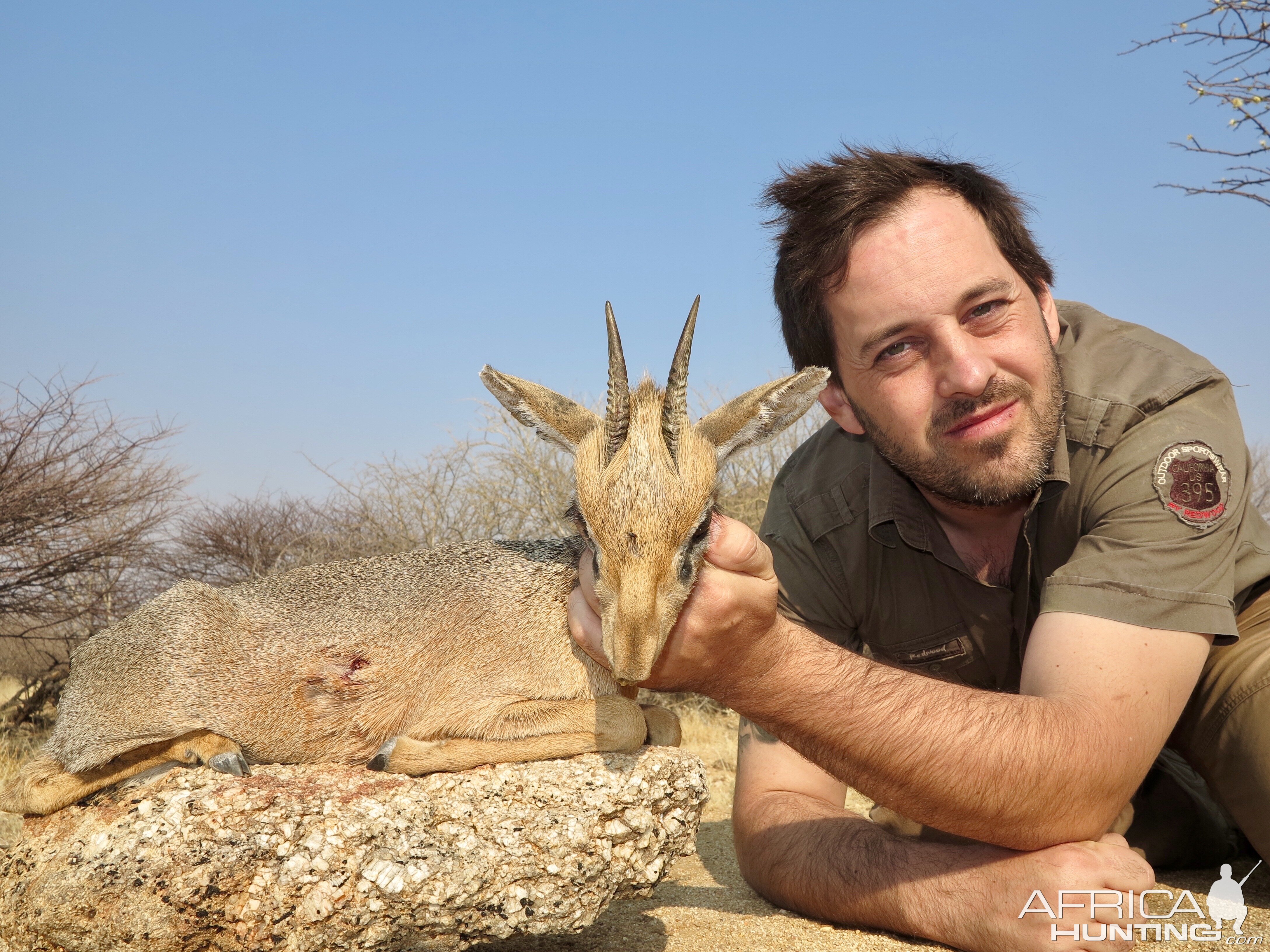 Damara Dik Dik Hunt Namibia