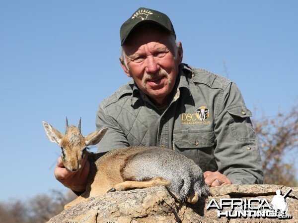 Damara Dik-Dik hunted at Westfalen Hunting Safaris Namibia