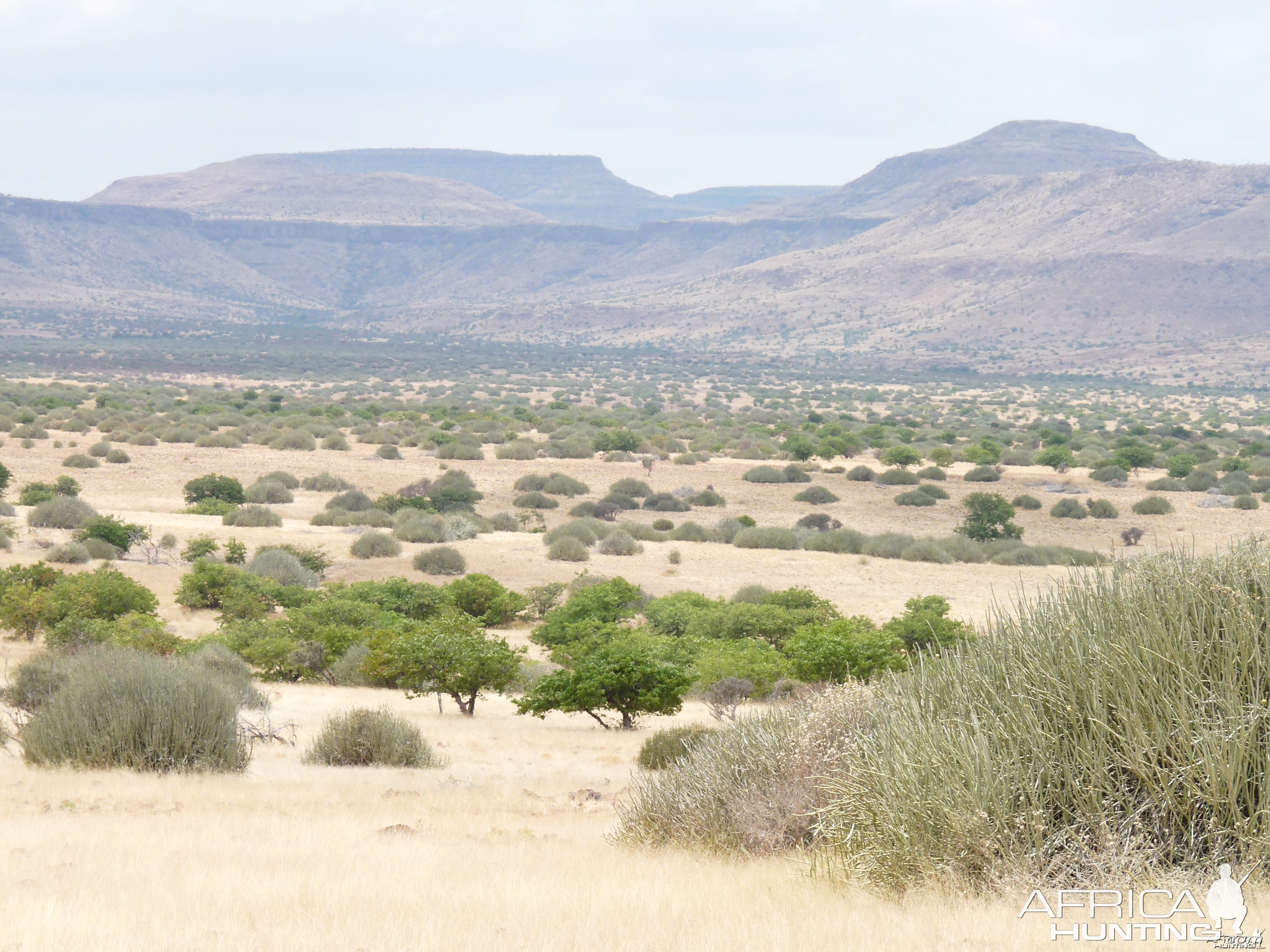 Damaraland Namibia