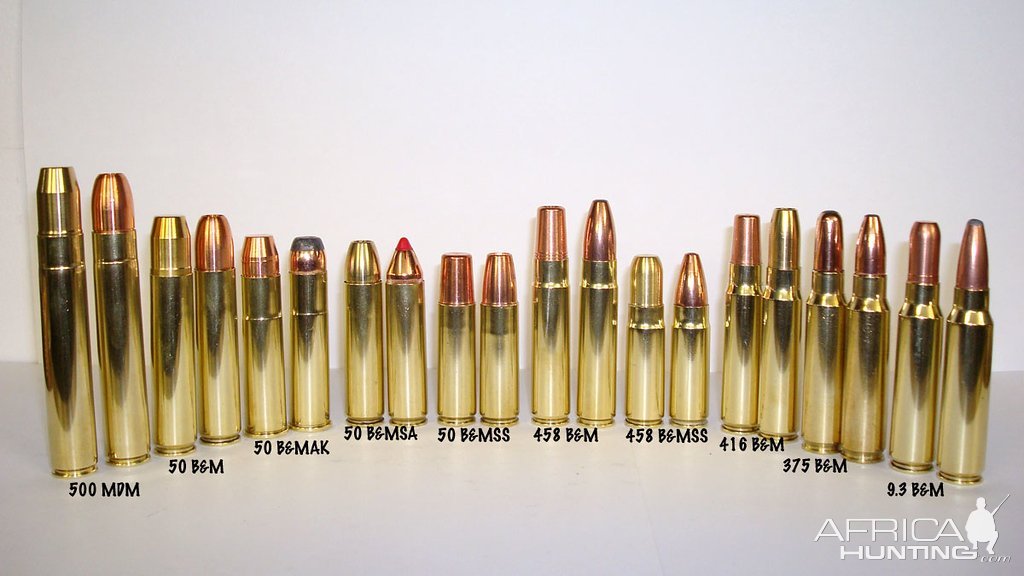 Dangerous Game Hunting Cartridges