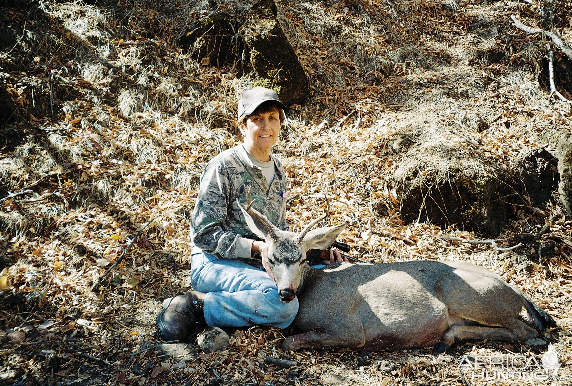 deena's last deer in cal.