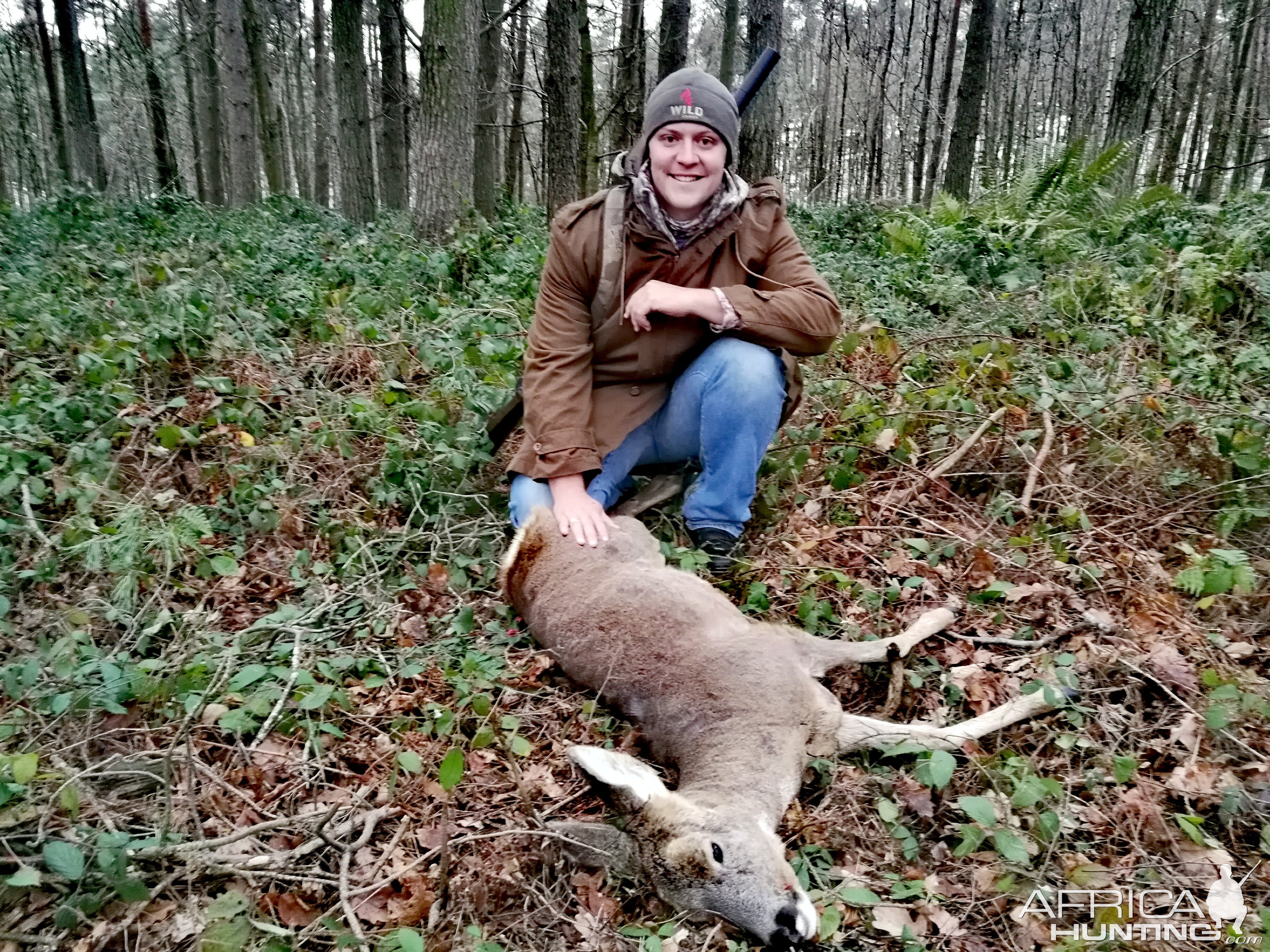 Deer Hunt Europe