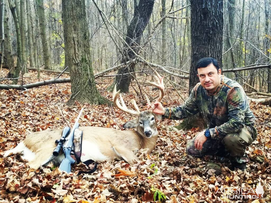 Deer hunt Pennsylvania woods