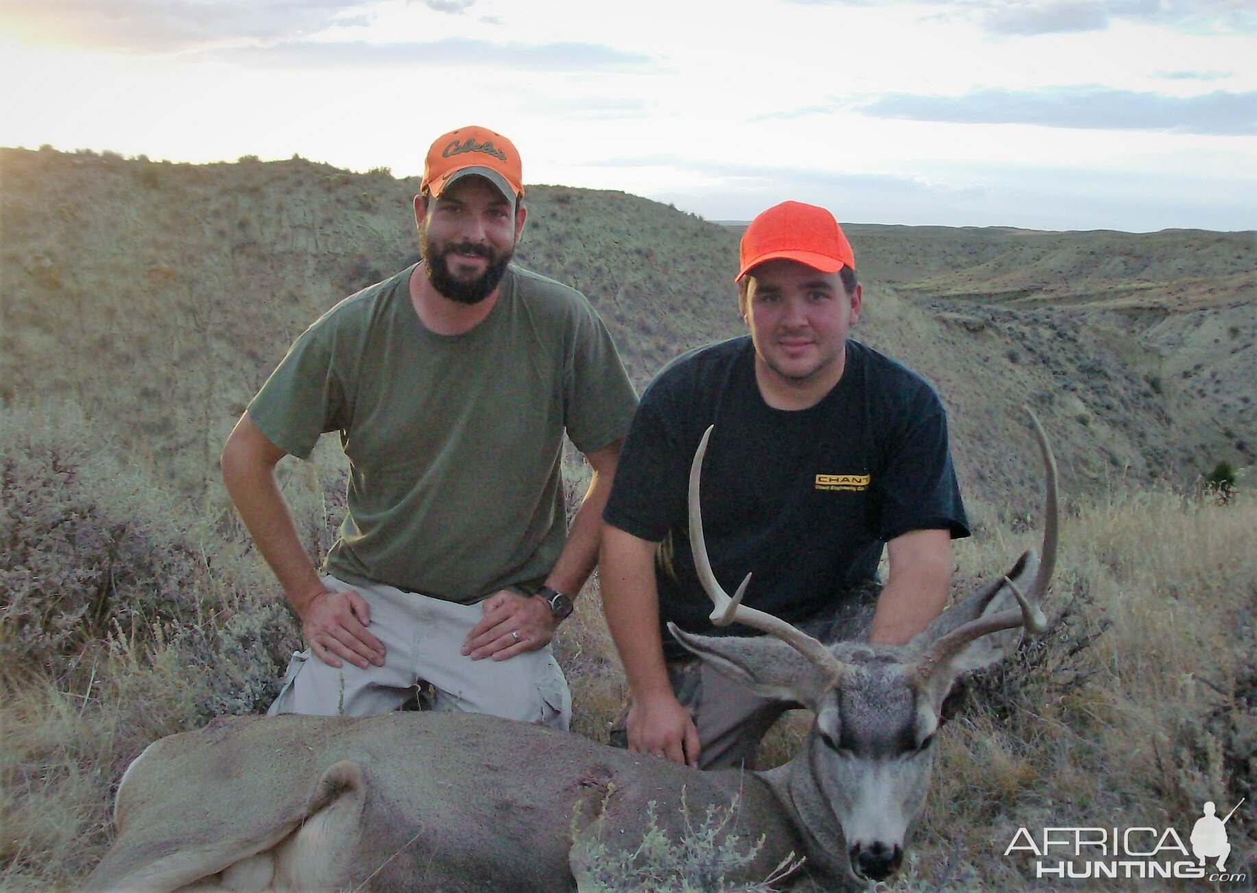 Deer Hunt Wyoming USA