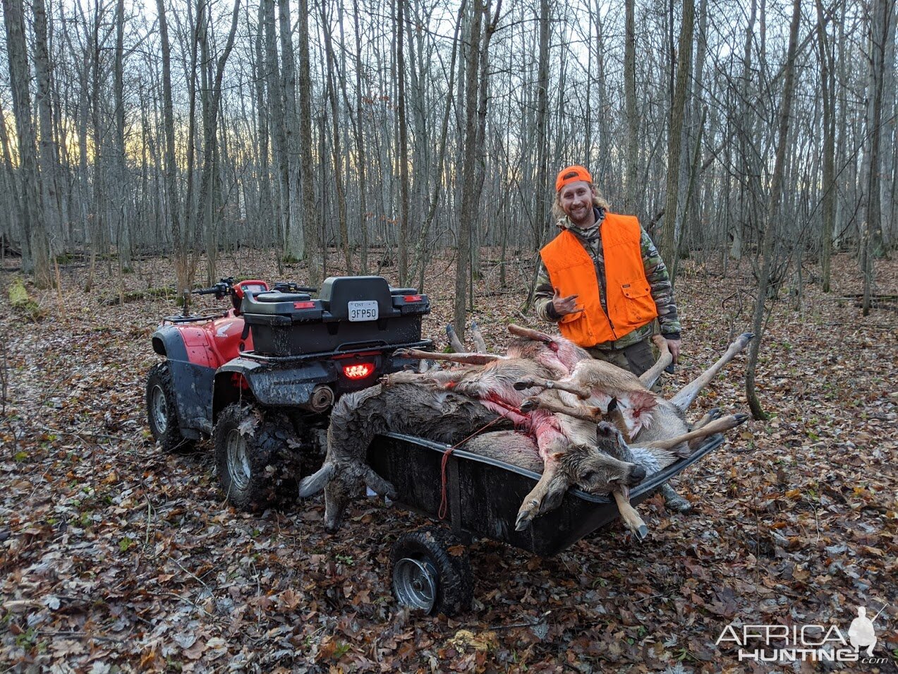 Deer Hunting Canada