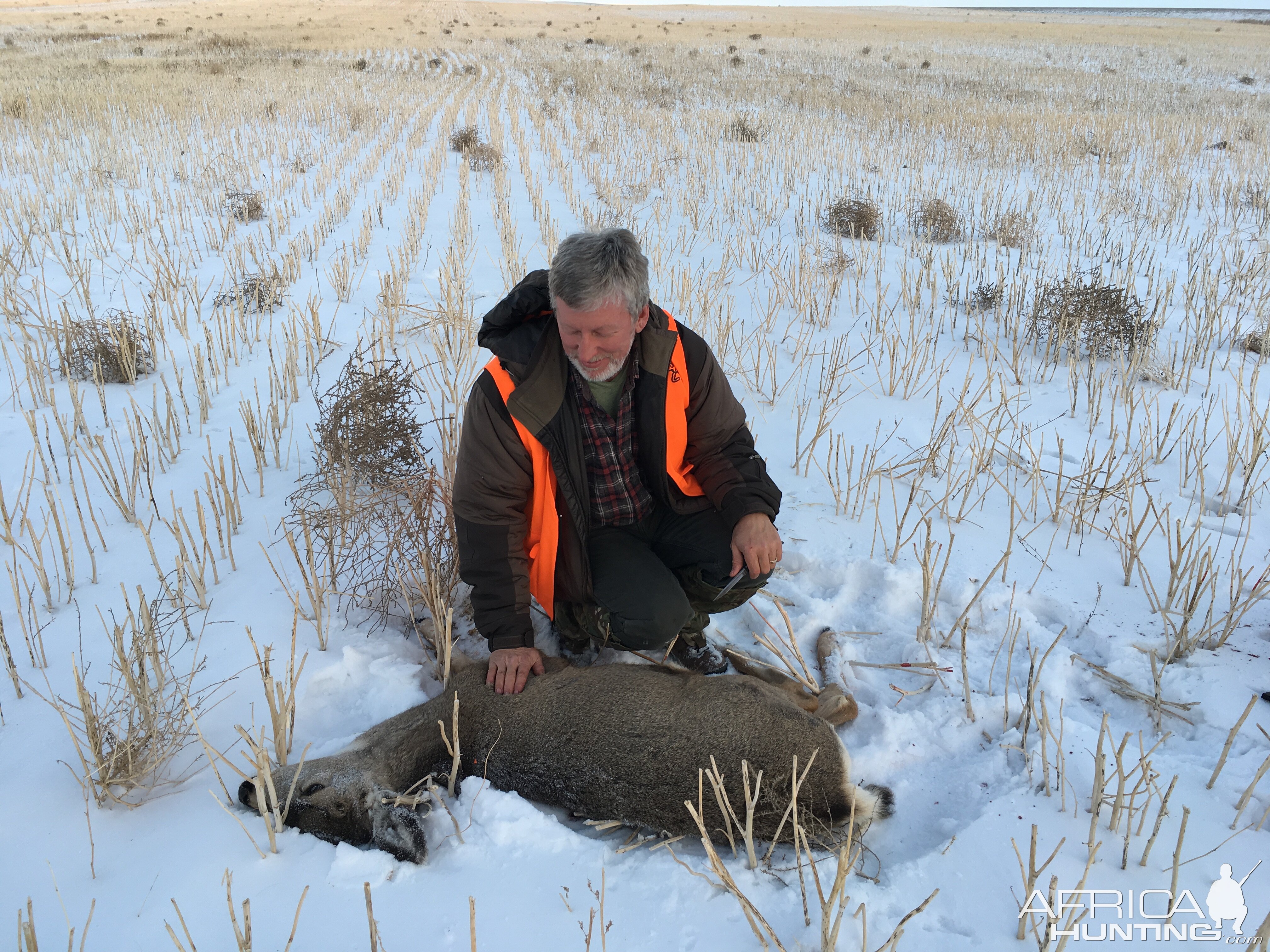 Deer Hunting in Canada