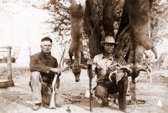 Deer hunting in southwest US