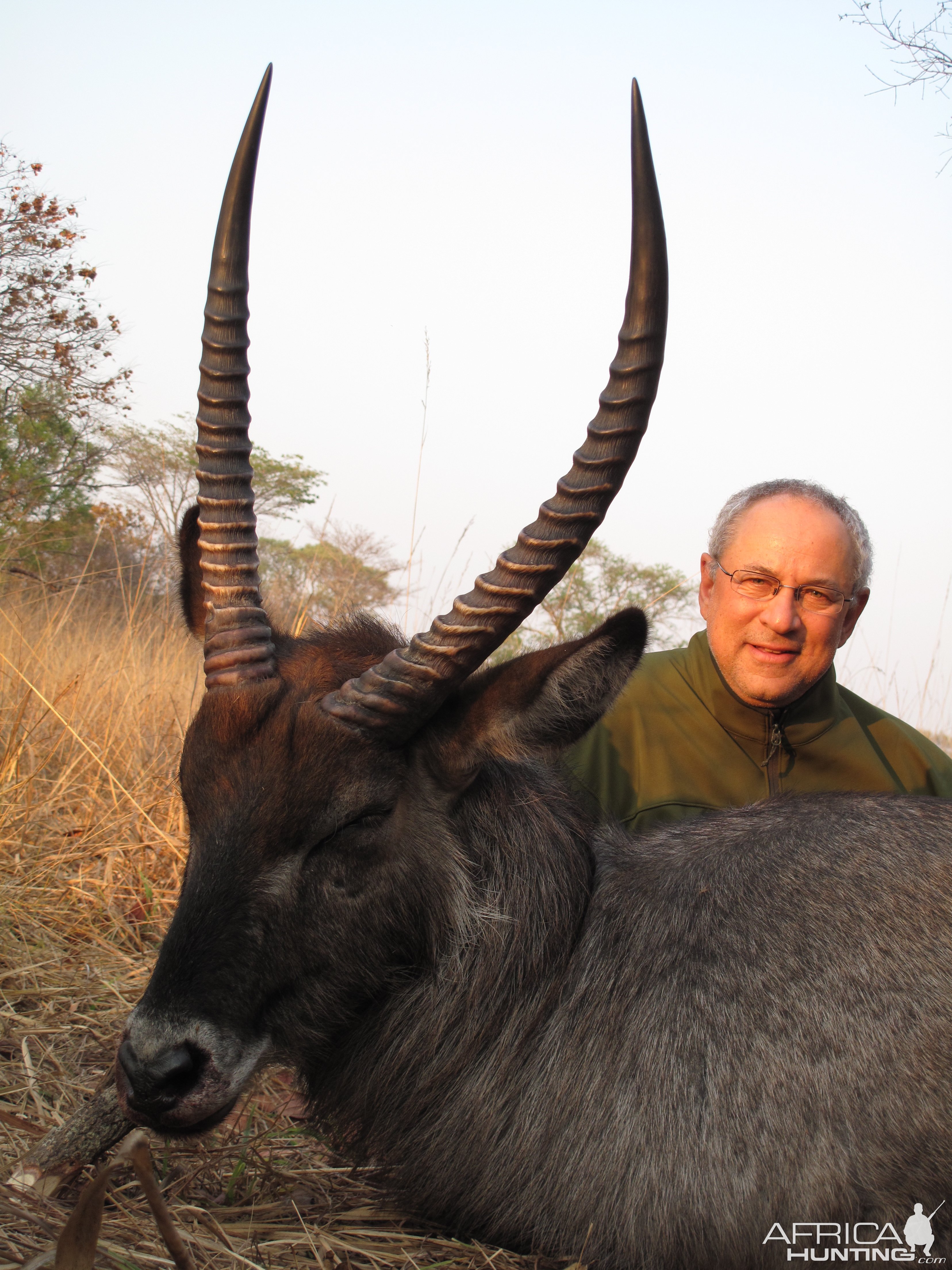 Defassa Waterbuck