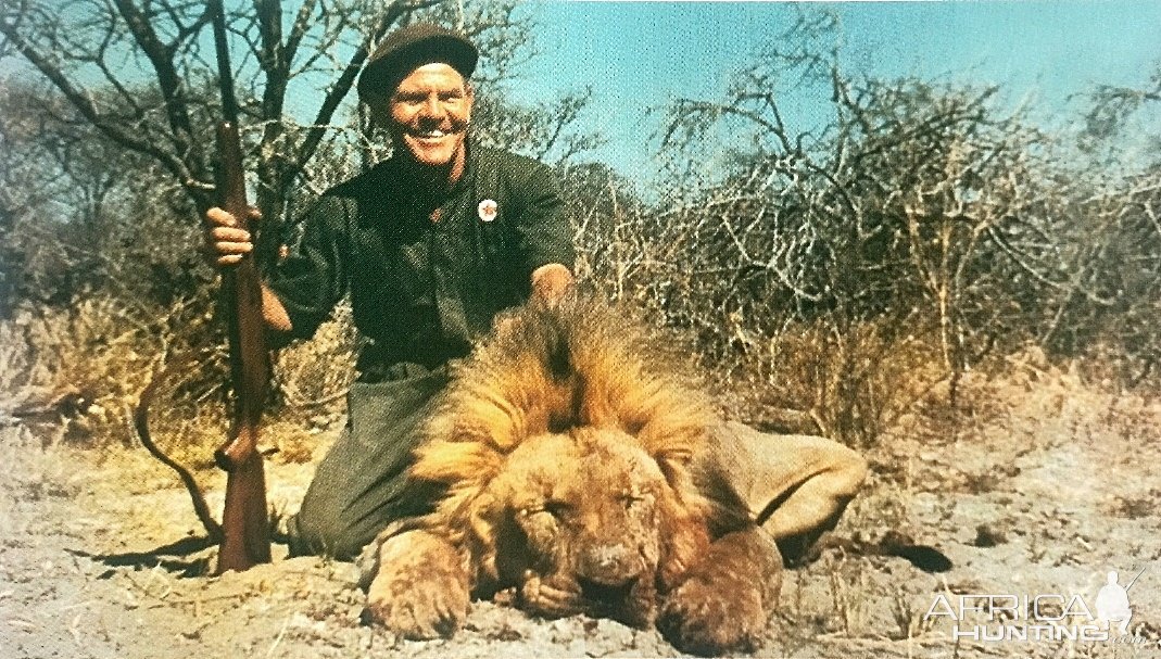 Dennis Blackbeard with another magnificent lion-Botswana