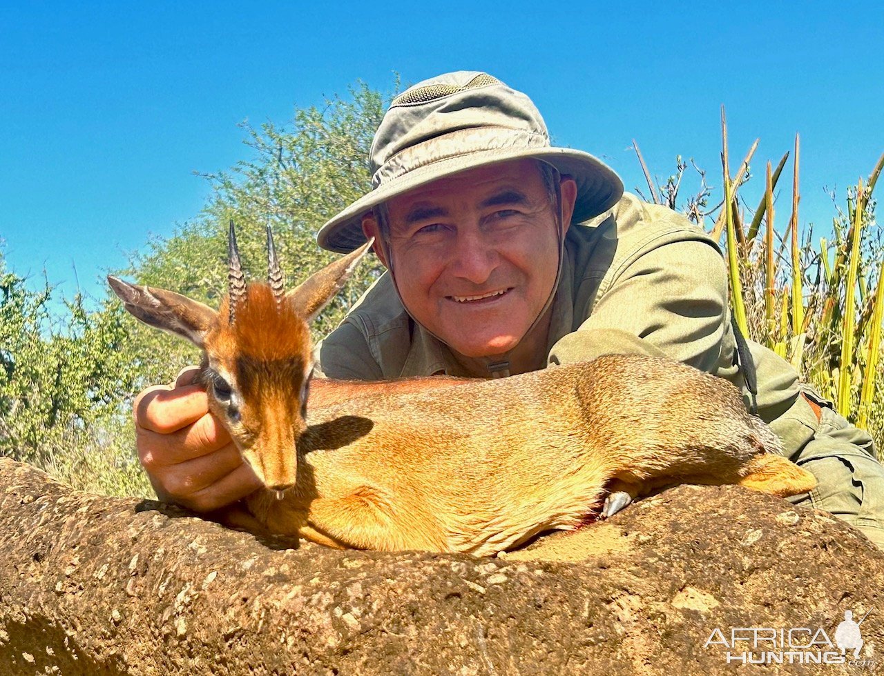 Dik-Dik Hunt Tanzania