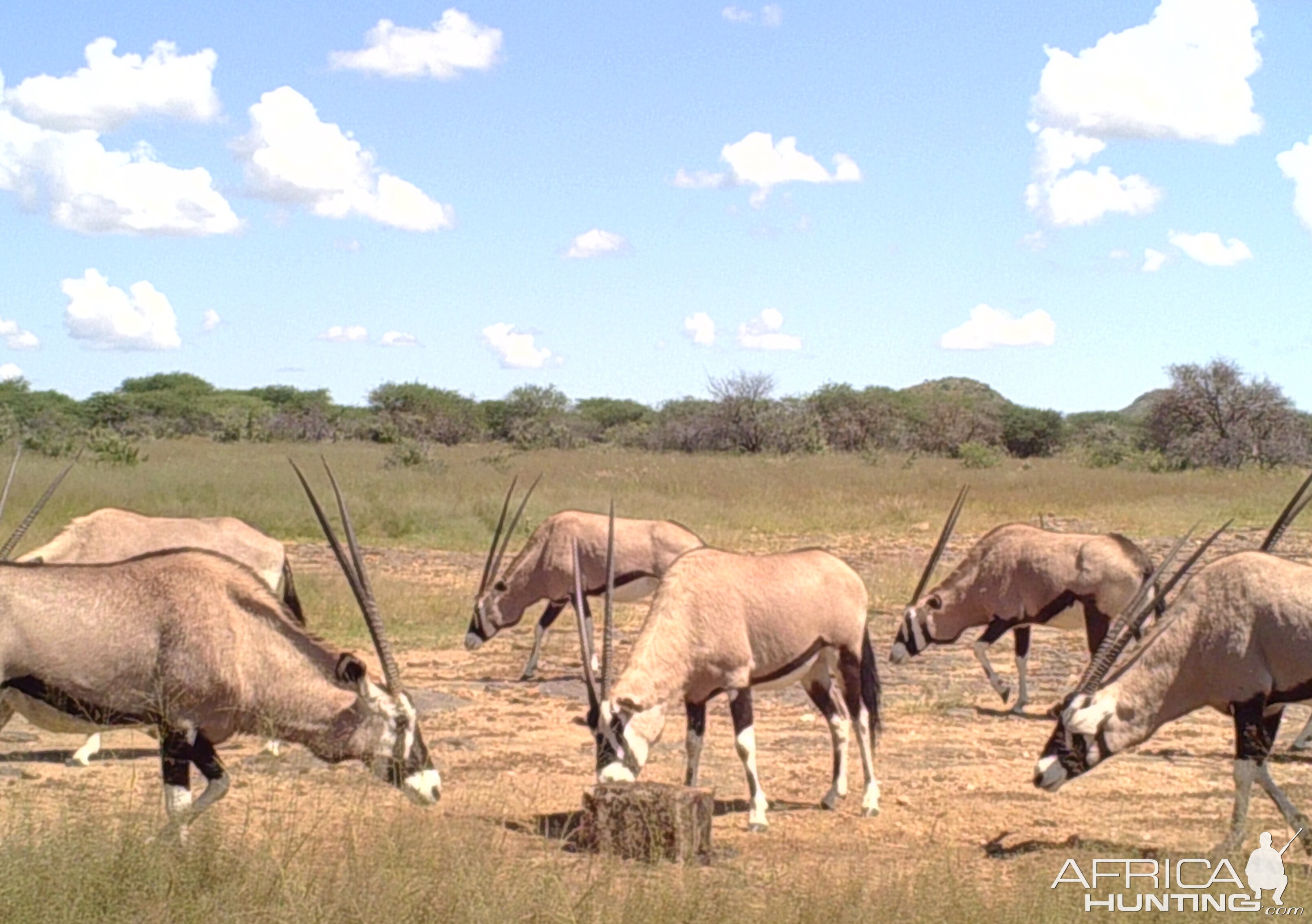 Don’t you just miss Namibia