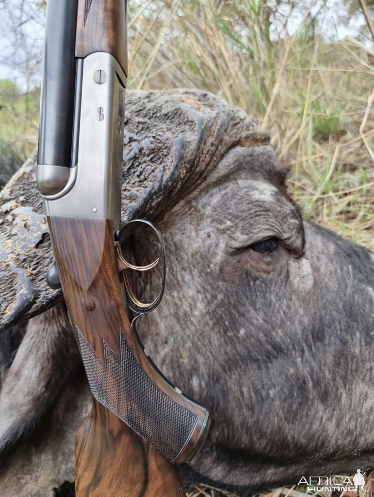 Double Rifle