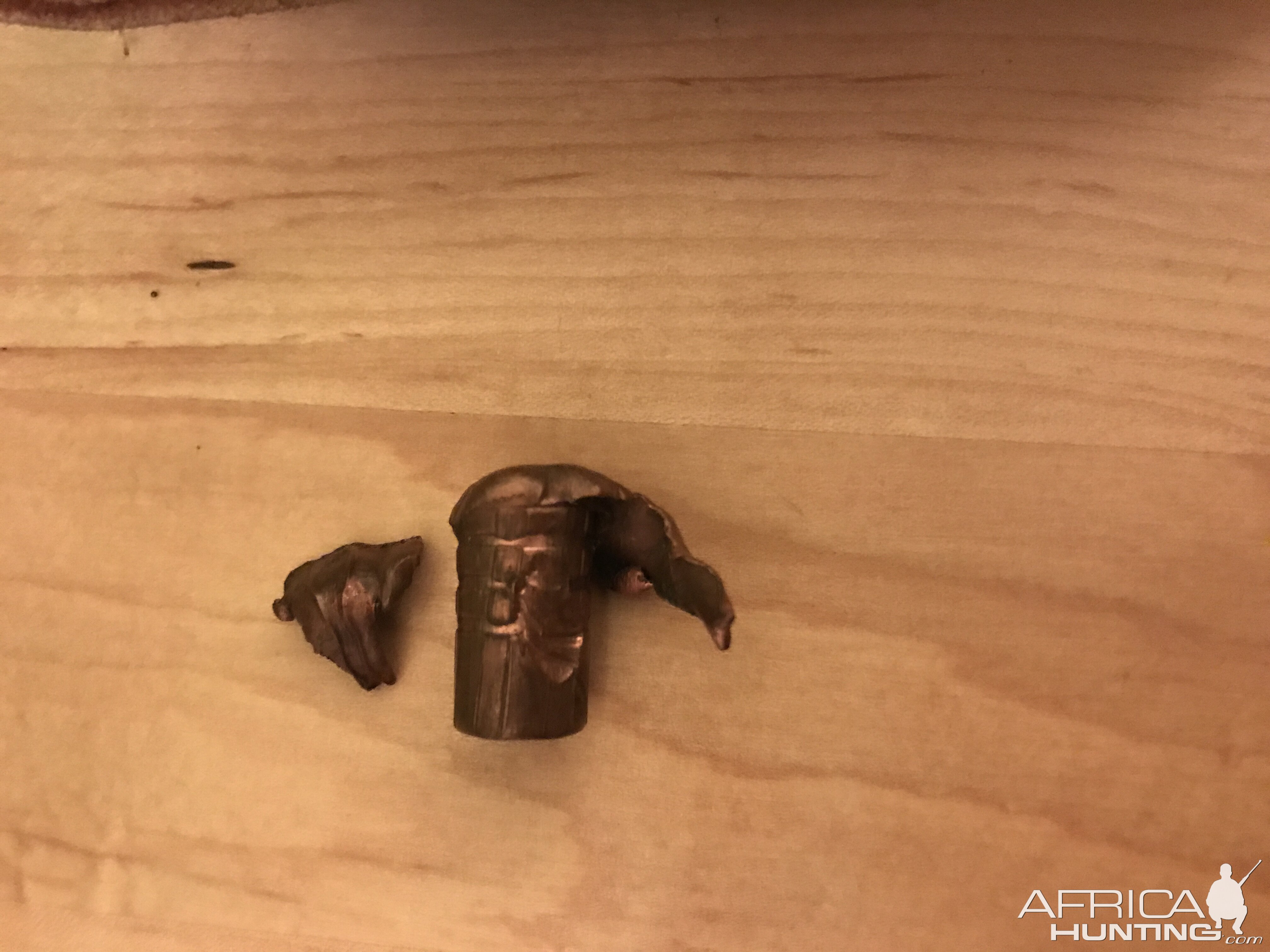 DoubleTap factory loaded 270 grain TSX Bullet Performance