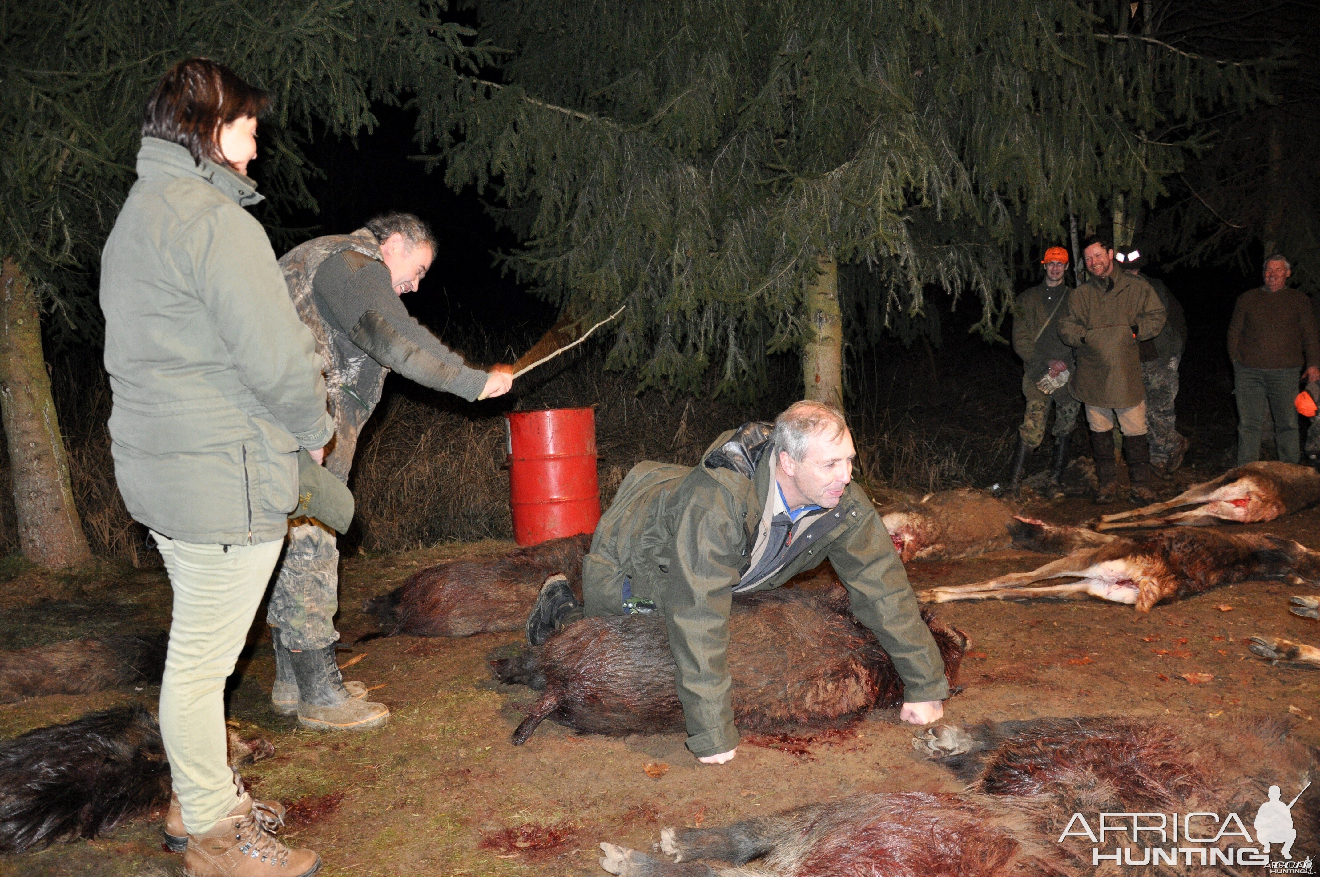 Driven boar hunt Hungary January 2015