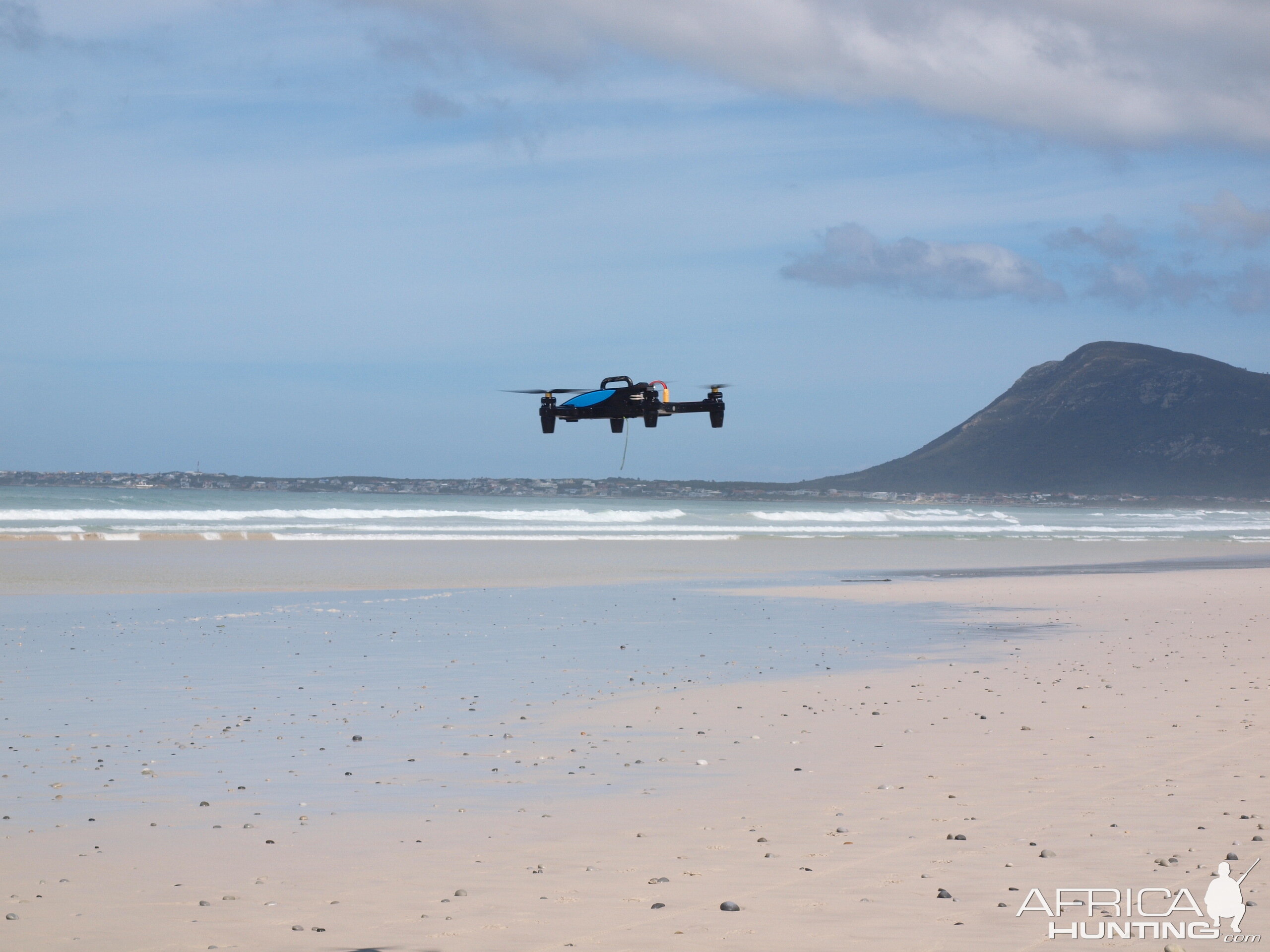 Drone-fishing for Bronze Whalers at Gansbaai, South Africa