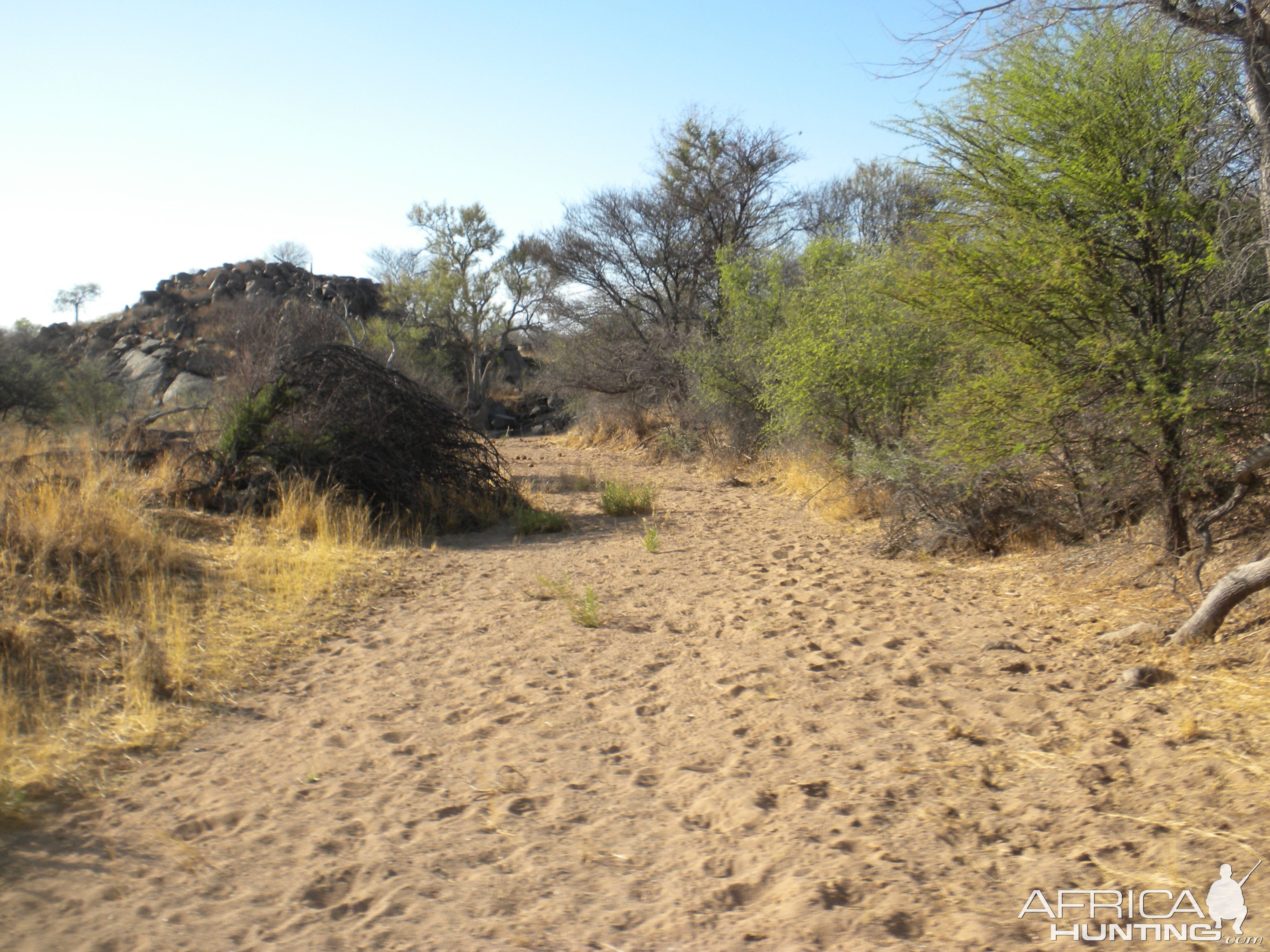 Dry riverbed Namibia