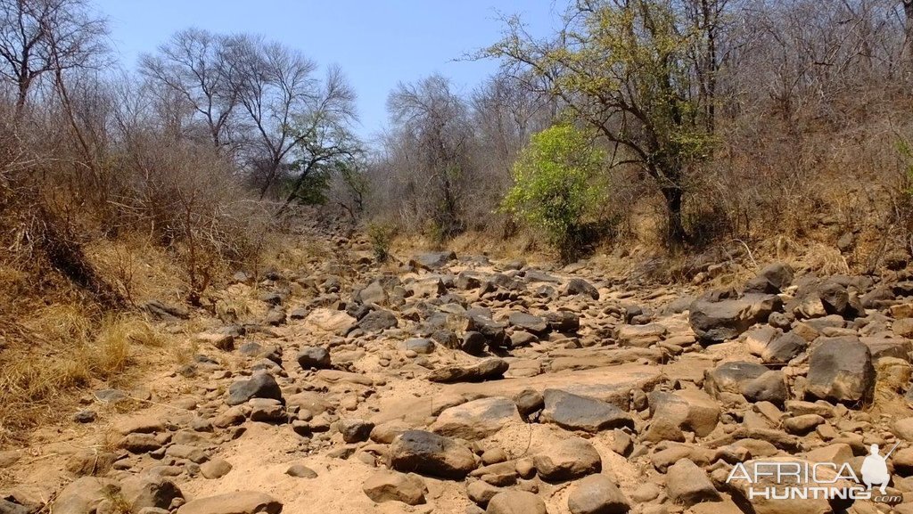 Dry Riverbed Zimbabwe