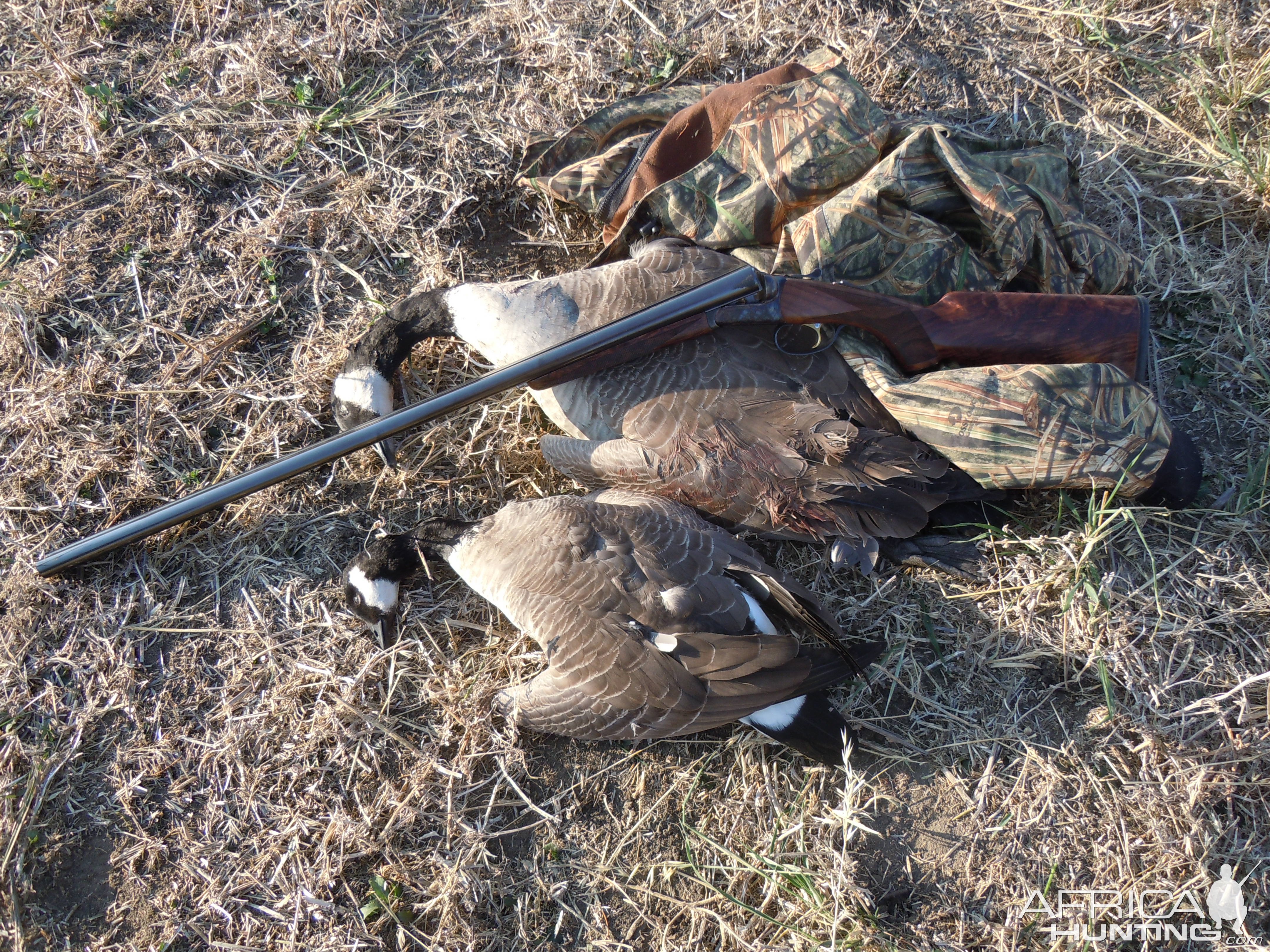 Duck Hunt Argentina