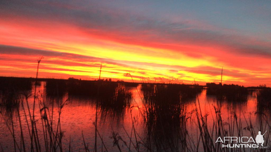 Duck hunt Argentina