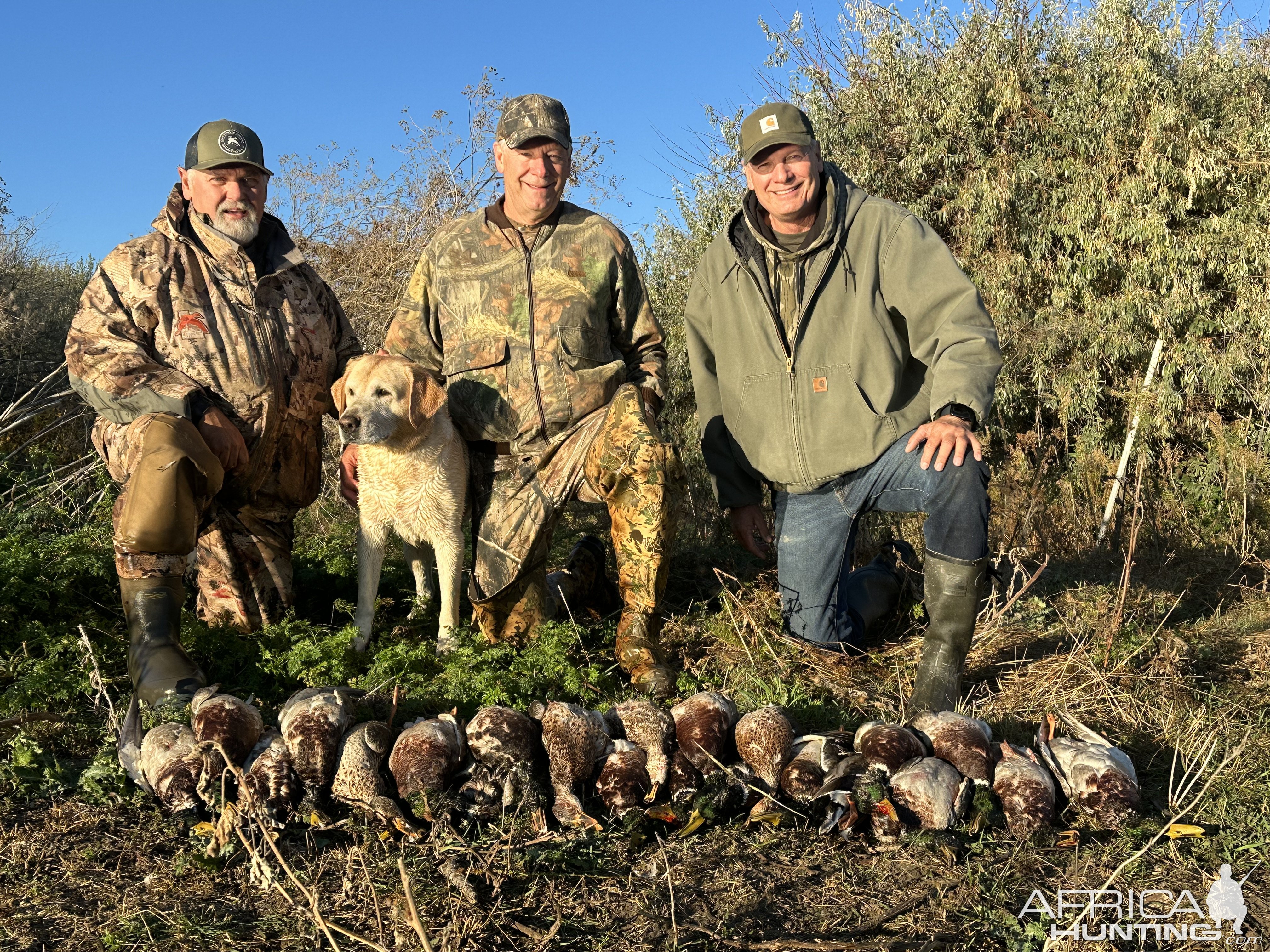 Duck Hunting Idaho