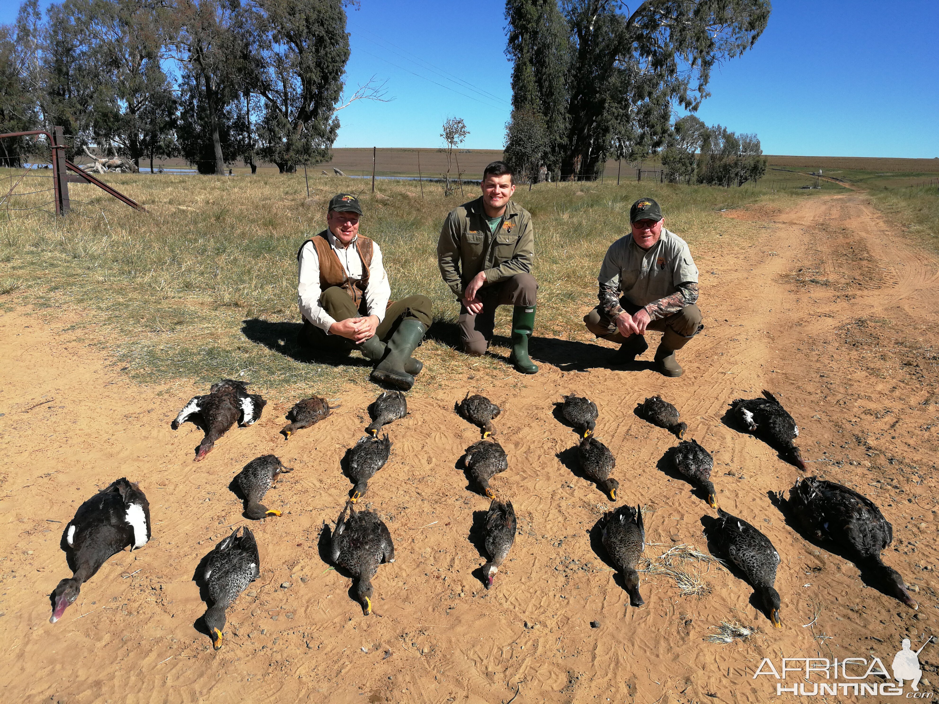 Duck Hunting South Africa