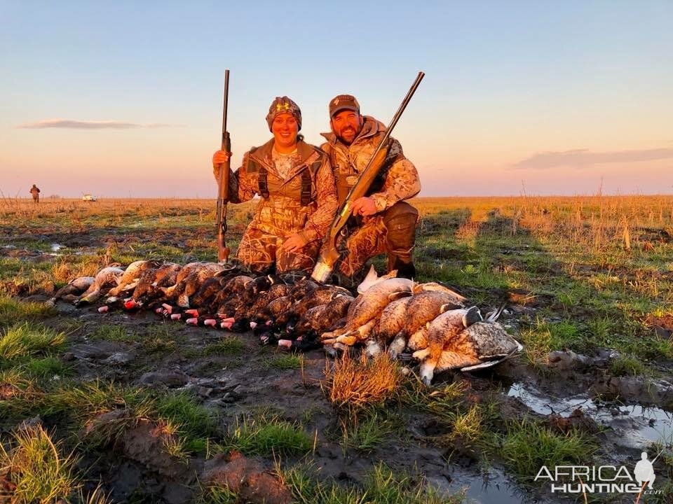 Duck Wingshooting  Argentina