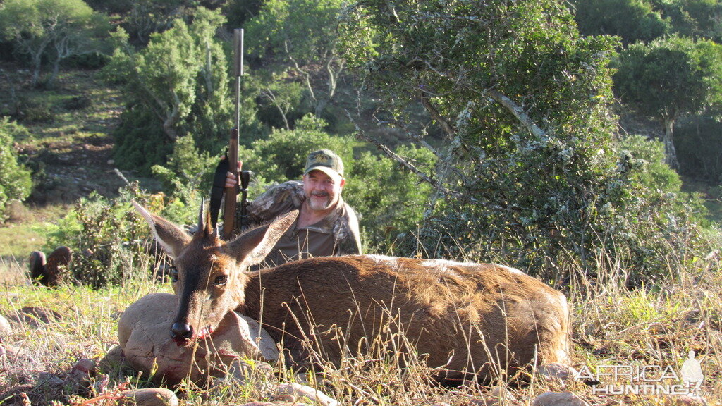 Duiker Cull Hunt South Africa