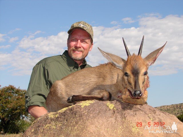 Duiker Hunt